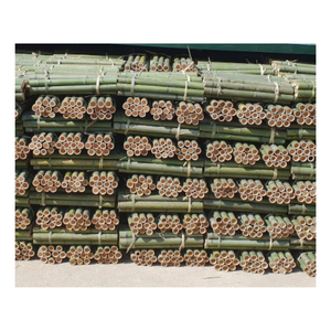 Bâton de bambou de haute qualité et poteaux de bambou solides, poteaux de bambou brut jaune naturel support de plante durable, caractéristique de jardin - Product Image 4