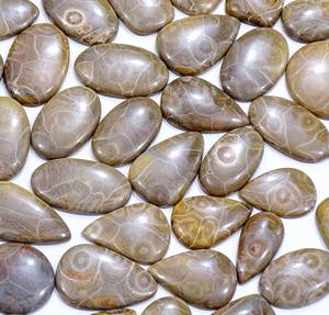 100% Natural Fossil <b>Coral</b> Loose Gemstone Mix Shape and Size Fossil <b>Coral</b> Cabochon Loose Gemstones Lot for Use Jewelry Making - Product Image 6