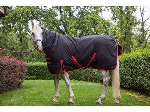 600D البوليستر ripstoop ورقة ممارسة الحصان للماء ورقة ربع الحصان الحصان بطانية السجاد مستقرة - Product Image 4