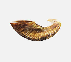Auténtico Shofar de Cuerno de Búfalo Natural Pulido a Mano con Relieves Tallados a Mano y Tonos Miel Profundos Tradicionales - Product Image 1