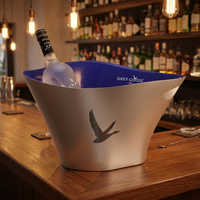 Seau à glace pour 2 bouteilles, finition plastique avec lumières LED pour discothèque et restaurant, OEM, OEM personnalisé