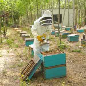 Fournitures d'usine costumes d'apiculture hommes vêtements à manches longues costumes d'apiculture de travail costumes d'apiculture - Product Image 5