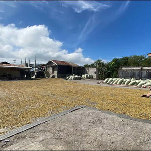 Café vert biologique de haute qualité, Arabica Robusta du Vietnam - Product Image 6