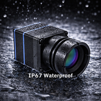 Module de caméra thermique personnalisable 21 mm 384*288/640*480 non refroidi, 12 µm 50 Hz, noyau thermique infrarouge pour vision nocturne