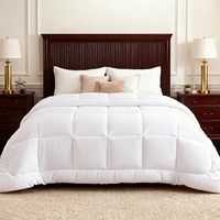 Couette d'hiver moderne pour lit double King Size, insert de couette doux imprimé pour usage domestique, microfibre polyester coton