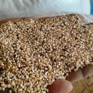 Grande Quantité de Graines de Sésame pour la Transformation Alimentaire Industrielle - Product Image 1