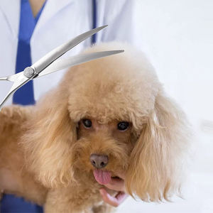 El mejor acabado satinado, calidad de tornillo elegante, tijeras de hoja afilada para el cuidado de perros curvadas para mascotas, tijeras de aseo de diseño personalizado - Product Image 2