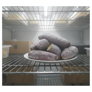 Frozen Vietnamese Purple Sweet Potato, Fresh Taste, Bulk Export Supplier - Product Image 6