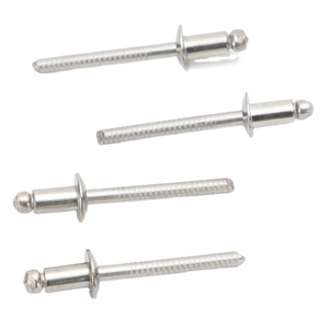 Rivets aveugles à grande bride en acier inoxydable 304 avec mandrin en aluminium pour machines de construction - Product Image 1