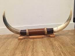 Corne de buffle naturelle décorative montée sur taureau Vaisselle pour la maison Corne de taureau montée Produit de vente à chaud pour la maison PAR HF CRAFTS - Product Image 3