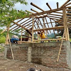 Varas de Bambú Largas de 6m y 12m para Construcción Estructural, Tratamiento Personalizado Antitermitas, Fabricante - Product Image 5