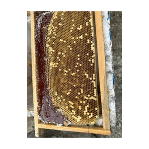 Industria de panadería Miel cruda natural para pan de miel Extender Color dorado brillante con consistencia cremosa gruesa - Product Image 4