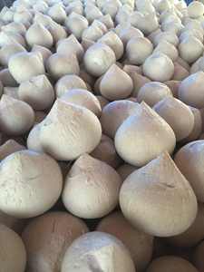 Nouvelle récolte 2026 Noix de coco entière polie Coco Fresco Pulido TINIMEX Origine Ben Tre Durée de conservation de 40 jours pour les importateurs - Product Image 3