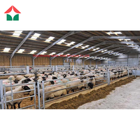 Kits de hangars en acier personnalisés, préfabriqués, pour élevage de vaches, poulets, chèvres ou porcs