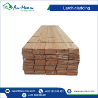 Czech Larch Wood Exterior Modern Cladding Solid Boards 24x200 mm for Certified