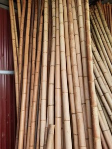Poteau de bambou-poteaux de bambou droits secs naturels du Vietnam - Product Image 4