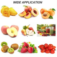 Roestvrijstalen Fruitpuree Groentepulp Makende Machine Mangopulper Tomatenpuree Verwerking Appelmoes Jam Maken Machine