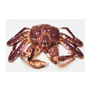 Fournisseur de crabes royaux rouges vivants de qualité supérieure, vente en gros en ligne - Product Image 3