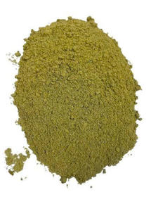 Guanábana vietnamita: su exportador de polvo a granel de confianza - Product Image 2