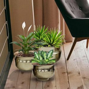 Lujo en flor Golden Glow Powder Coated Gold Macetas Must-Have Home and Garden Glamour para sus plantas - Product Image 1