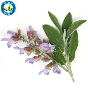 Aceite esencial de salvia natural pura 100%-Suministro al por mayor y a granel de exportadores indios, orgánico para usos multiusos - Product Image 3