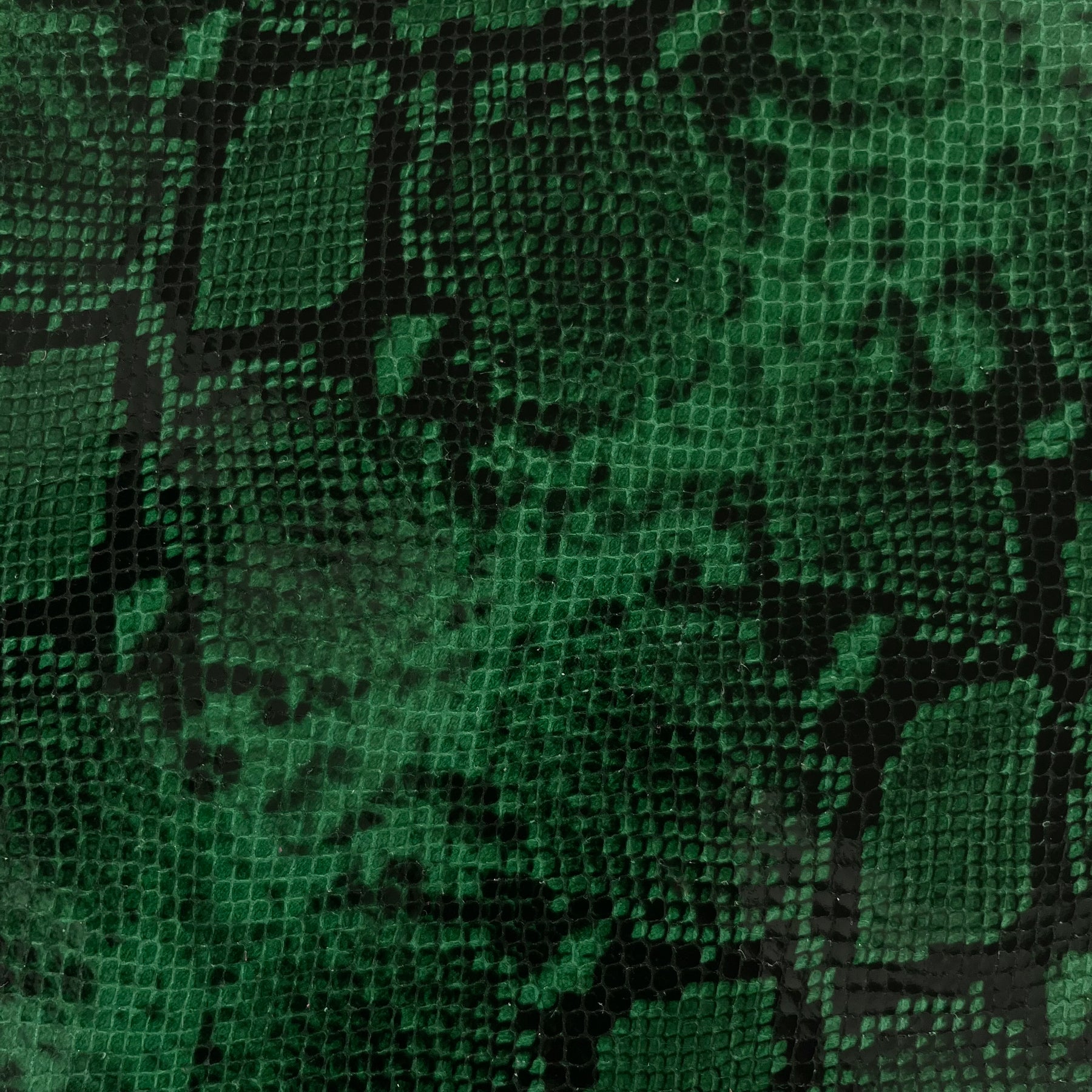 pitón verde