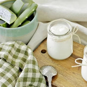 ว่านหางจระเข้เจลลี่ที่มีเนื้อสัมผัสเป็นเอกลักษณ์เป็นสินค้าที่สนุกและมีประโยชน์ต่อเครื่องดื่มเพื่อสุขภาพที่ช่วยให้พืชสดชื่น - Product Image 1