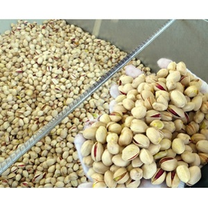 Pistachos Tostados y Salados / Pistachos Naturales Tostados y Salados al por Mayor - Product Image 1