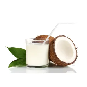 THAILAND QUALITY 1/6 ORGANIC COCONUT MILK CANNED/COCONUT MILK VIETNAM 2022 // FOR EXPORTING