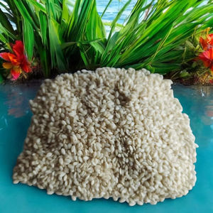 Semillas de sésamo blanco-Las semillas de Sesamum indicum pueden ser una buena fuente de vitaminas B - Product Image 5