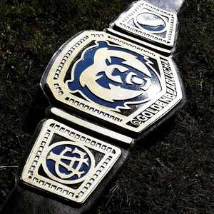 Ceinture de champion personnalisée Kivotech, durable et élégante, idéale pour la lutte, la boxe, les récompenses sportives et la promotion de marque. - Product Image 1