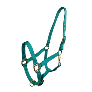 Halter d'entraînement en nylon doublé de néoprène durable Licol réglable confortable pour cheval de course en gros en vrac équestre - Product Image 2