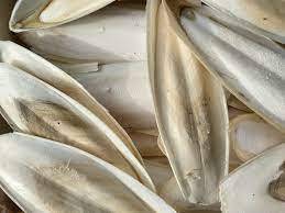 100% ปลาหมึกก้างปลาจากเวียดนามตากแห้งเป็นอาหารปลาอาหารสัตว์ติดต่อได้เมื่อ + 84 904 183 651 - Product Image 2