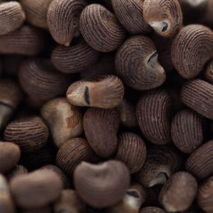 Huile de graines d'ambrette (Absolue de musc de laurier) – Musc naturel de qualité supérieure pour la parfumerie, les cosmétiques et les industries de l'aromatisation - Product Image 4