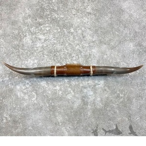 Cuernos de buey negros de gran calidad de la India, cuernos de toro decorativos anchos para granja, hombre, cueva, decoración temática occidental, artesanías naturales - Product Image 2