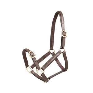 Equipo de equitación para deportes al aire libre de alta calidad, cabestro ajustable para caballos, nuevo cuello de cabeza de nailon - Product Image 5