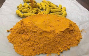 Exportateur de poudre de curcuma en vrac et en gros du Vietnam - Product Image 6