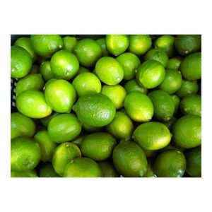 TOP PRE MIUM Fruit Lime Fruit Sour Assaisonnement Citron vert Frais Biologique Cultivé Eureka Citron OEM Vente en gros Meilleur prix - Product Image 4