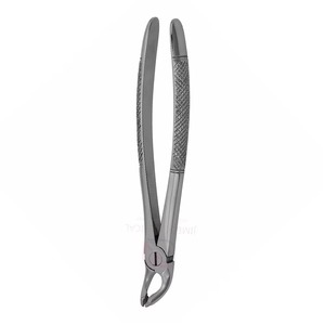 Forceps dentaire en acier inoxydable certifié CE, 53L, motif anglais gauche – Instrument d'extraction manuel réutilisable pour la chirurgie buccale - Product Image 6