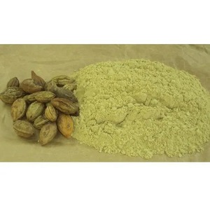 Polvo Puro de Terminalia Chebula, Suplemento Herbal Natural para la Digestión, Desintoxicación, Inmunidad, Antioxidante, Crecimiento del Cabello y Apoyo al Sueño - Product Image 3