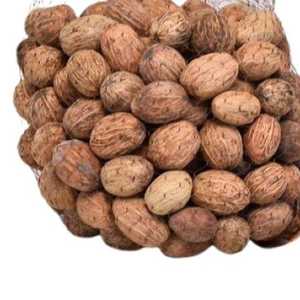 Cosmic, décoration de haute qualité, élégante, moderne, naturelle, amra séchée, écologique, décoration exotique, fleur séchée, décoration de la maison, mariage, Noël - Product Image 1