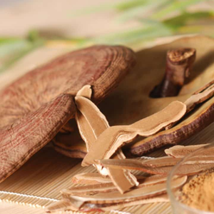 EXTRAIT DE CHAMPIGNON REISHI EN POUDRE/HAUTE TENEUR EN POLYSACCHARIDE/SUPPLÉMENT DE SANTÉ - Product Image 1