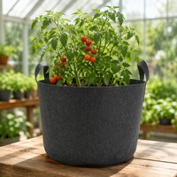 Sac de culture en feutre non tissé avec poignées pour 10 gallons, idéal pour la plantation de tomates en serre ou en extérieur, écologique, vente en gros usine