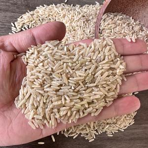 Vente en gros de riz au jasmin biologique à grains longs du Vietnam Riz brun aromatique de premier rang Meilleur prix à vendre Qualité d'exportation/ANNA DO - Product Image 6