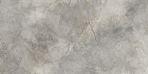 Carreaux de porcelaine imprimés numériquement, designs personnalisés, couleurs vives, 600X1200mm, fabrication en Inde pour la salle à manger. - Product Image 3