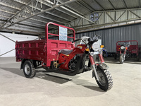 Nouveau design Tricycle de transport 3 roues 200cc à benne basculante, carrosserie ouverte, à essence, avec levage hydraulique et panneaux latéraux hauts, haute capacité de charge