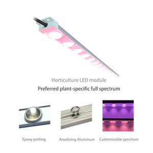 Lente de tecnologia patenteada + refletor lettuce, led, luz para crescimento, agricultura vertical, hidroponia, vegetais, plantas - Product Image 2