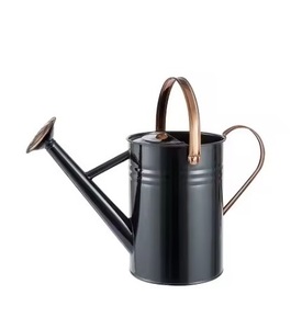 Arrosoir de style contemporain, en métal, idéal pour les plantes, les fleurs et la décoration de jardin - Product Image 3