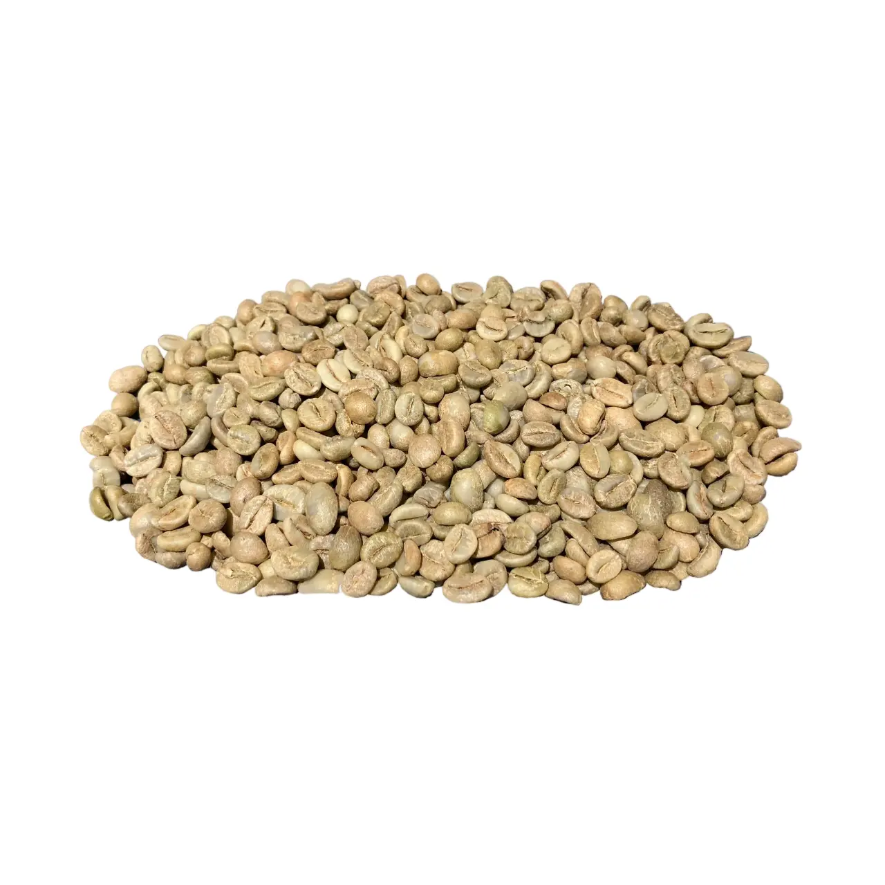 Est-beans EW crop 2023 V, granos de café verde obusta, envío rápido barato