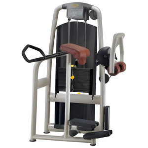 Appareil de musculation remis à neuf pour les fessiers et les jambes, idéal pour l'entraînement de force des hanches et des bras en intérieur - Product Image 2